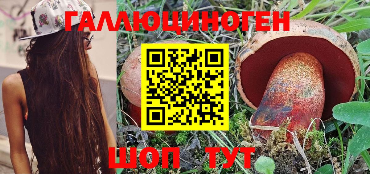 Галлюциногенные грибы мицелий Кизляр